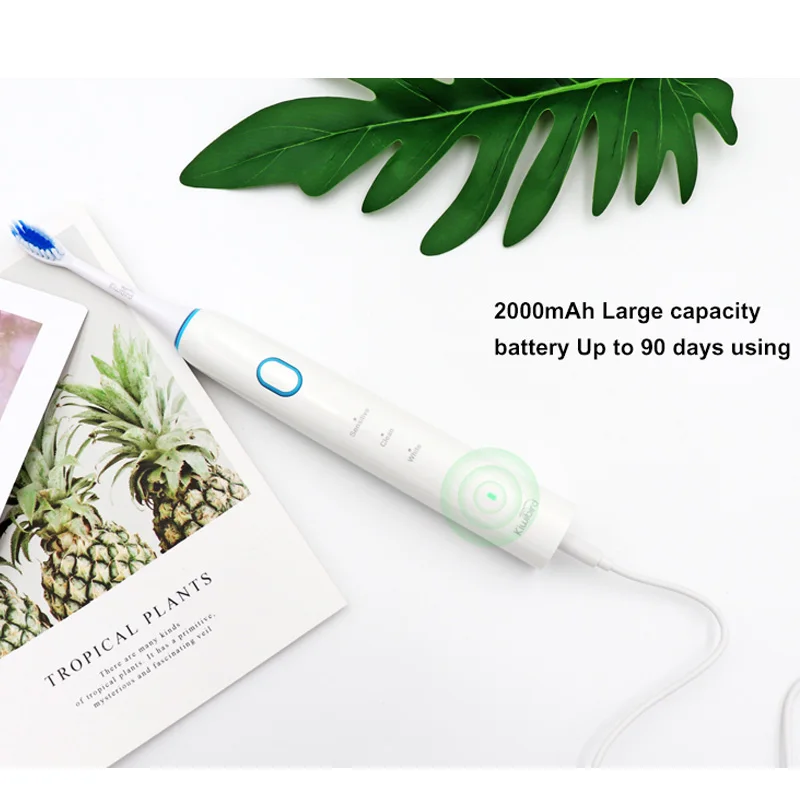 Kiwibird – brosse à dents K3 sonique, poils DuPont, électrique, 40000VPM, étanche, nettoyage des dents sensibles