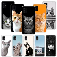 cute animal cat phone case funda for samsung galaxy a51 a71 a02s a50 a70 a30 a40 a20 a10s a20e a01 a91 a81 cover coque capa