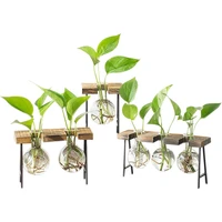 terrarium hydroponic plant vases vintage flower pot transparent vase wooden frame glass tabletop plants home bonsai decor