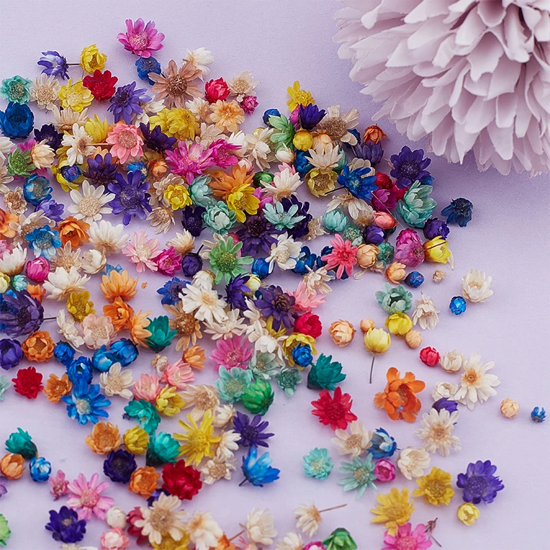 

100/200PCS Real Dried Flowers Brazil Little Star Flower For DIY Art Craft Epoxy Resin Candle Making Jewellery