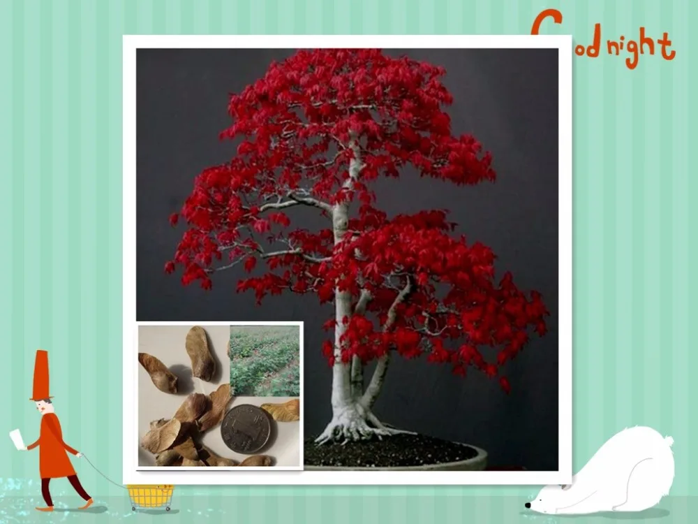 30 клен искусственный газон Декор|Цветочные горшки и кадки| |