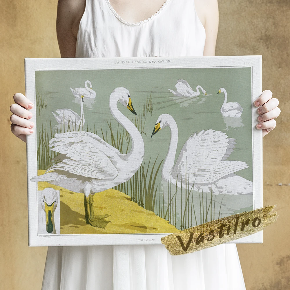 Настенная картина Vastilro Maurice Pillard Verneuil Cygne Sauvage
