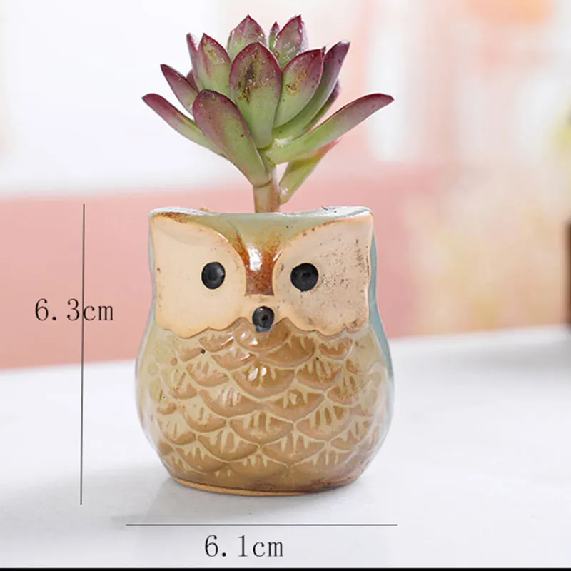 

Spot 6pcs/set Mini Ceramic Owl Succulent Plants Bonsai Pots Flower Home Office Desk Decor Best Price