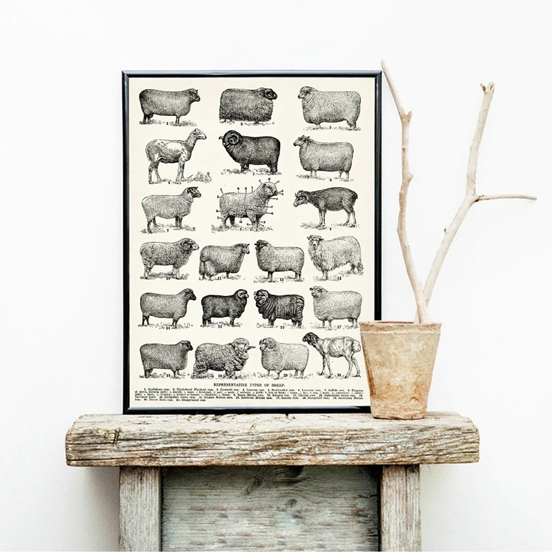 Картина на холсте для домашнего декора картина с изображением пород овец