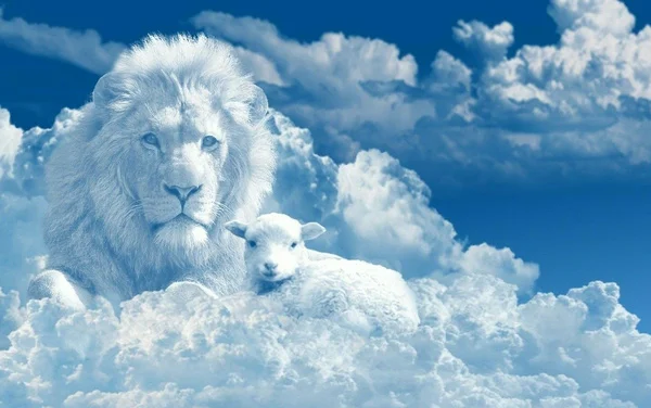 Настенный плакат с изображением Льва ягненка христианского Иисуса природы | Дом