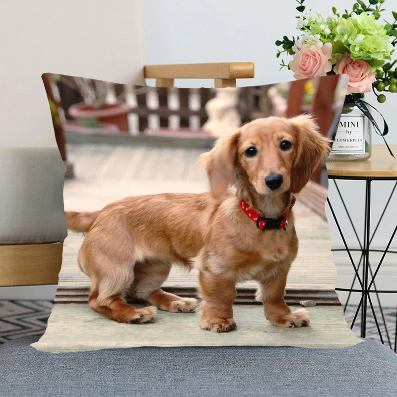 Таксы животных из мультфильмов Лидер продаж Подушка Чехол Высокое качество