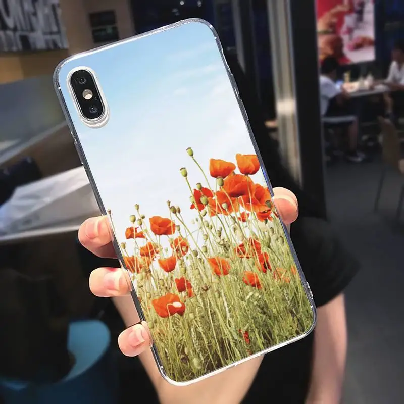 

Poppies Poppy flower Phone Case Transparent soft For iphone 5 5s 5c se 6 6s 7 8 11 12 plus mini x xs xr pro max