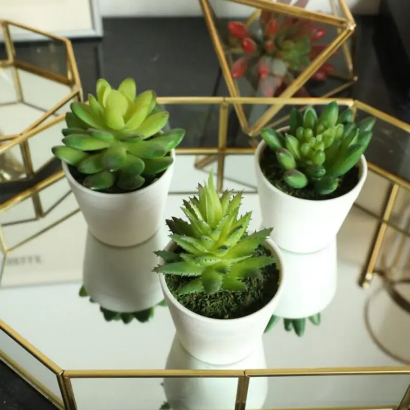 Искусственное суккулентное растение мини-размера орнамент Искусственный