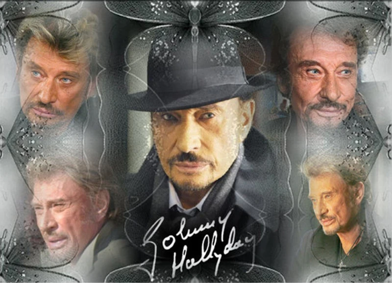 

New rock singer Johnny Hallyday (Johnny Hallyday) Diamond Painting Cross Stitch Kit Diy Diamond Embroidery 3D Diamond Diamond Mo