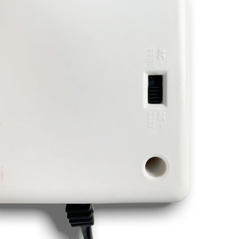 500 Вт Регулируемый блок питания Преобразователь напряжения 220 В до 110 адаптер