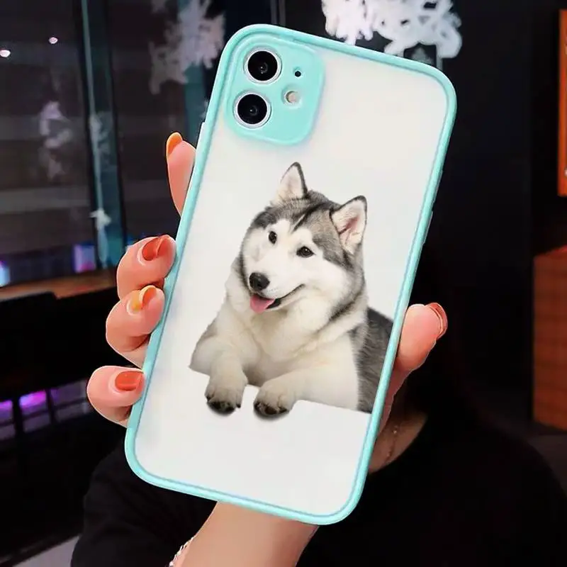

Husky Kawaii Wolf cute Phone Cases matte transparent For iphone 7 8 11 12 plus mini x xs xr pro max cover