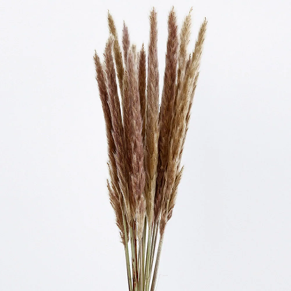 20 шт. свадебные цветы Натуральные Сушеные маленькие помпоны сырой цвет трава