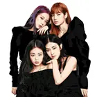 Картина по номерам Blackpink 2, 40 х 50 см