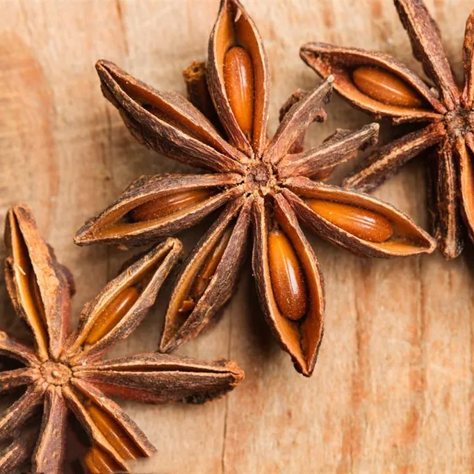 10 г Illicium verum бонсай знаменитая пряность для домашней кухни специи садовые
