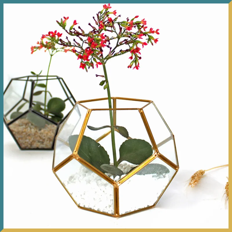 

Hot Sale Black Glass Pentagon Geometric Terrarium Container Window Sill Decor Flower Pot Balcony Planter Diy Display Box