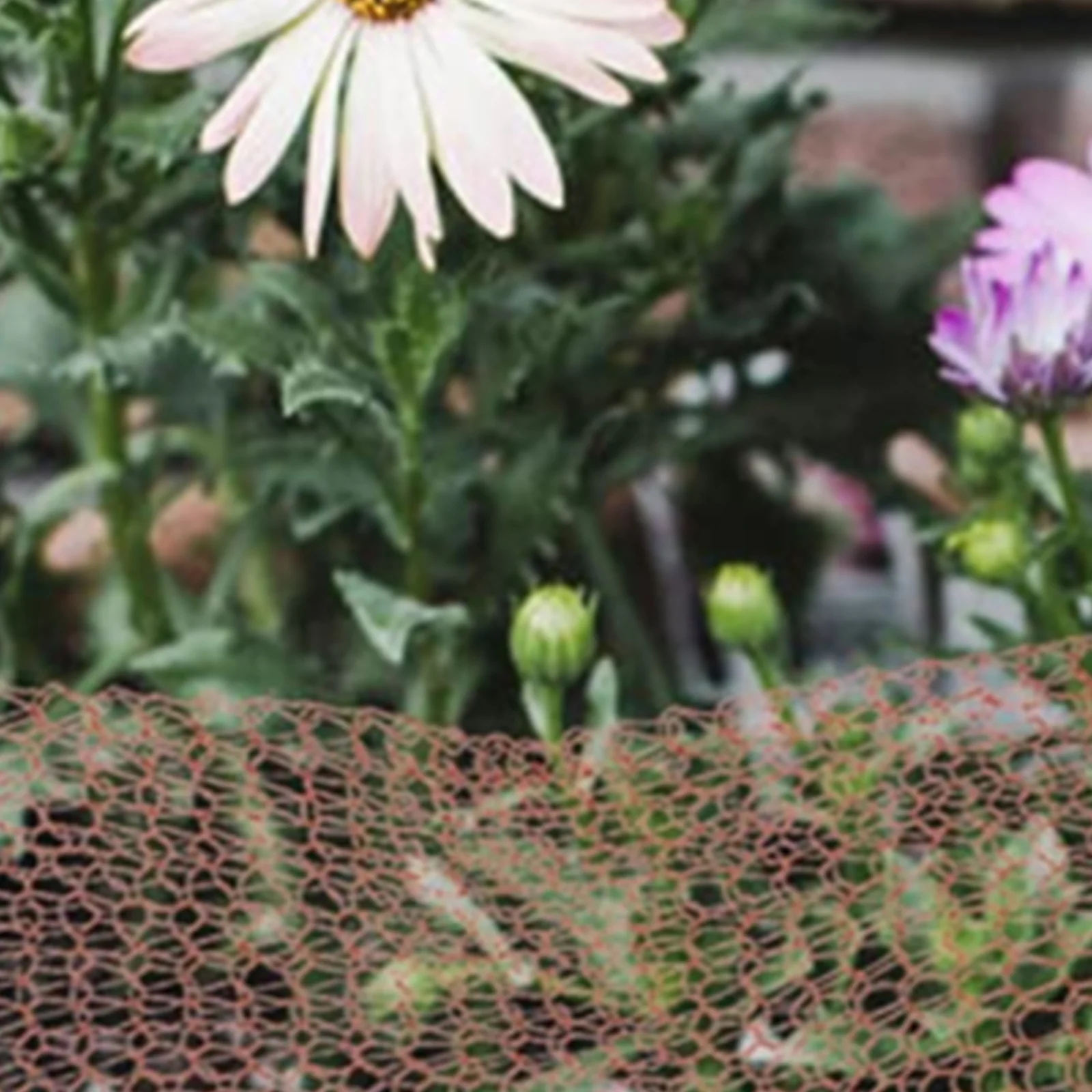 

6m/20 Feet Copper Rodent Mesh Pure Copper Pest Control Rodent Insect Control Mesh For Home Garden Mouse Bat Birds Snails Insect