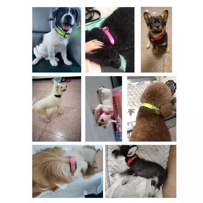 Светоотражающий нейлоновый ошейник для собак ночник маленьких и средних