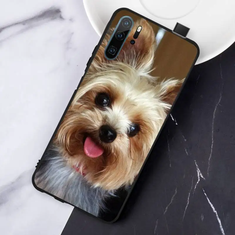 

Cute Yorkshire terrier dog animal Phone Case For Huawei honor Mate P 10 20 30 40 Pro 10i 9 10 20 8 x Lite