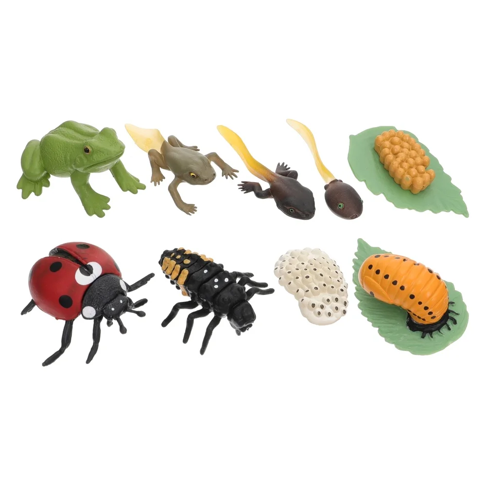 

2 Sets of Imitation Animal Life Cycle Models Kids Early Education Toys
