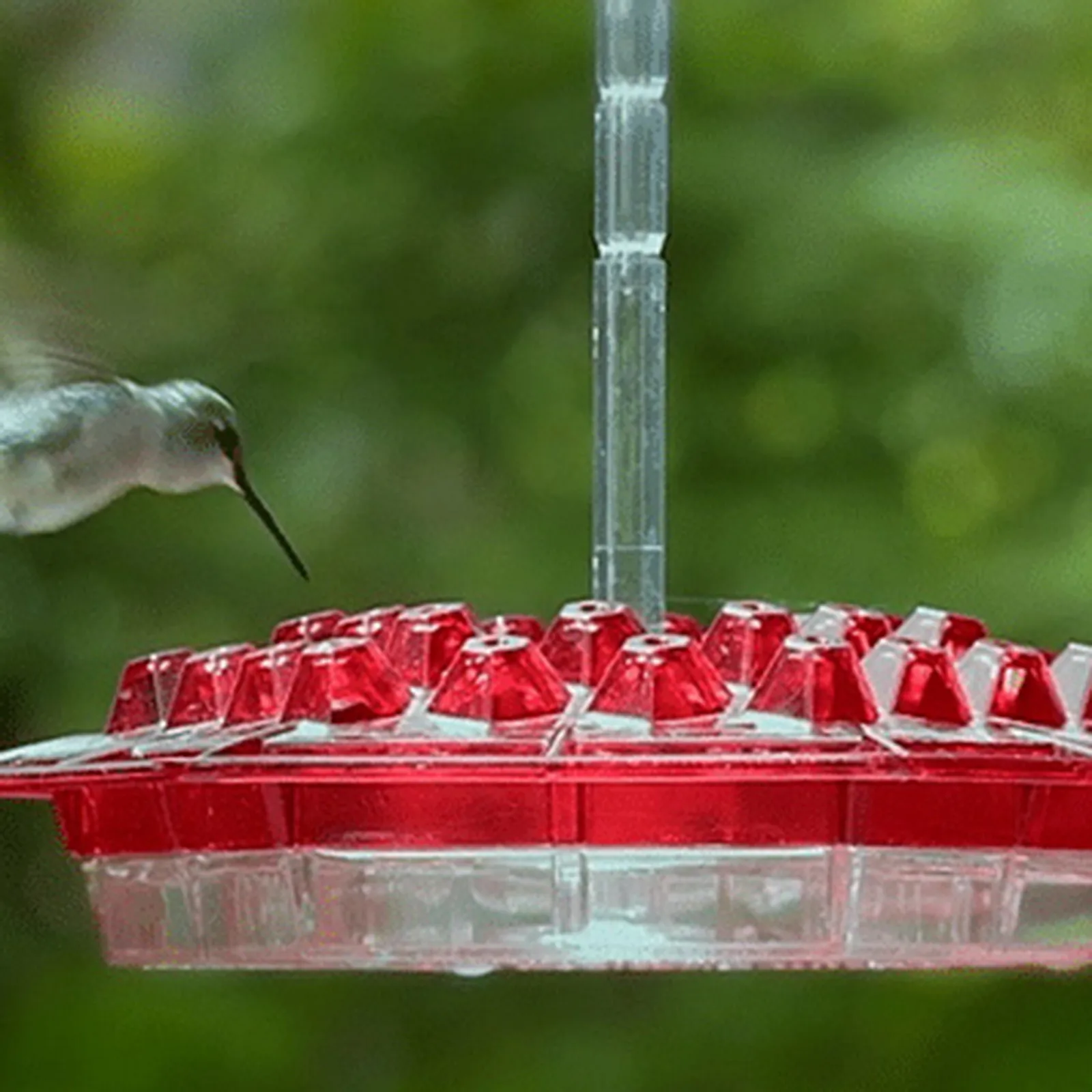 

Mary's Sweety Hummingbird Feeder And Built-in Ant Moat Easy To Clean