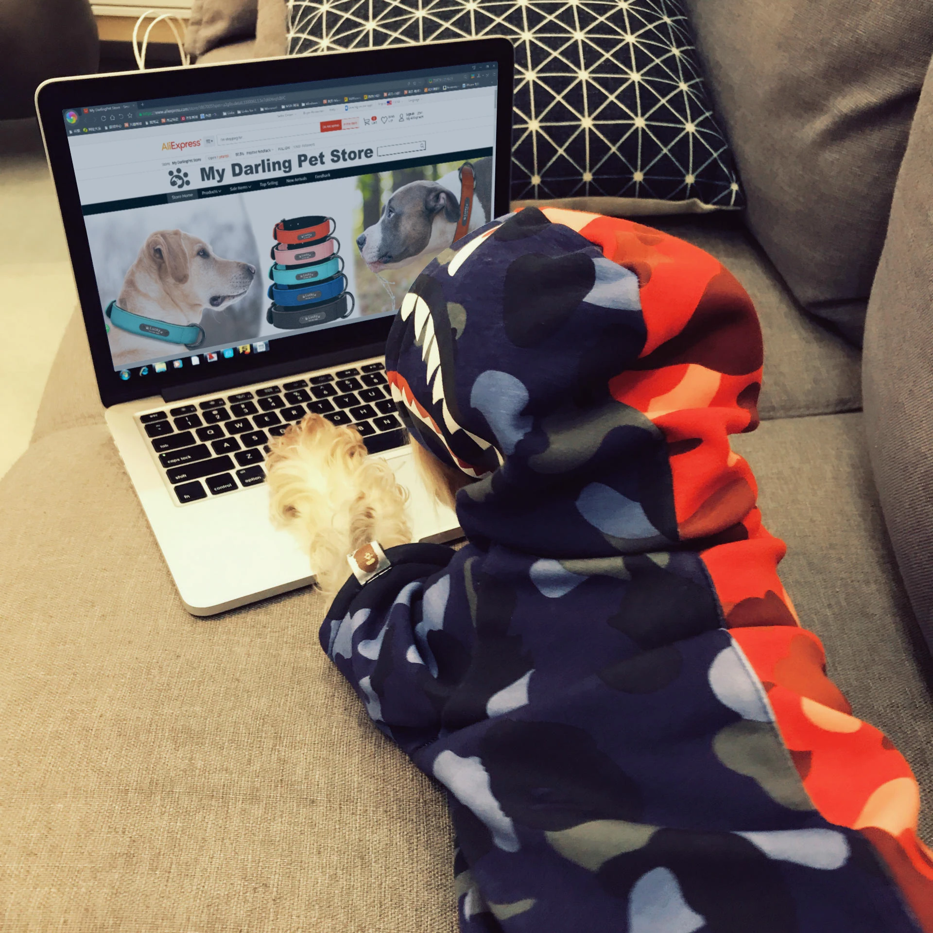 Померанская зимняя Большая маленькая одежда для домашних питомцев теплая кошек