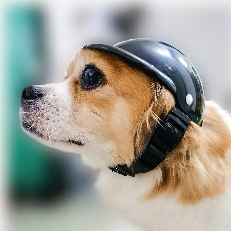 

S/M Dog Helmets Dogs Out Anti-collision Hat Motorcycle Helmet for Dogs Cats Cool Fashion Puppy Ridding Protect Cap Pet Suppllies