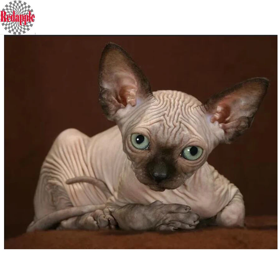 Алмазная живопись Стразы 5D для творчества вышивка крестиком распродажа мозаика