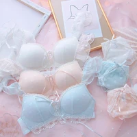 sexy lingerie for small chest lolita sweet lace panties push up bra set underwear ultra thin bra and panty set intimate clothes