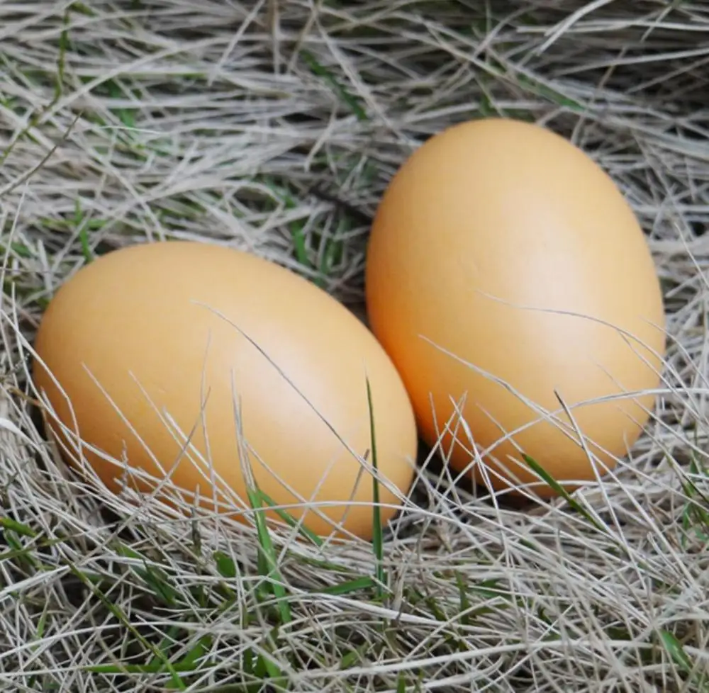 3 шт. деревянные яйца креативные поделки рисование яйцо сделай сам креативное