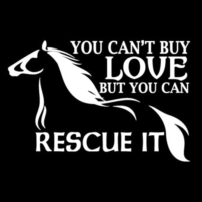 

Hot You Can't Buy Love... Cartoon Car Sticker Styling Rear Windshield Laptop Lovely Decal Decorative KK16*10cm Vinyl