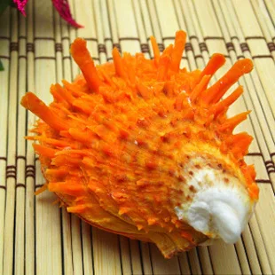 Натуральная ракушка 4 7 см подарок украшение для аквариума коллекция оранжевых