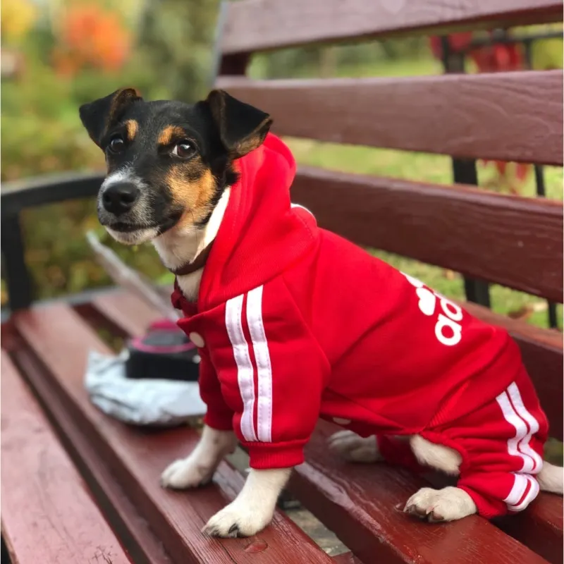 

Adidog Dog Clothes Winter Warm Pet Dog Hoodie Coat Puppy JacketClothing for Small Medium Dogs French Bulldog Schnauzer