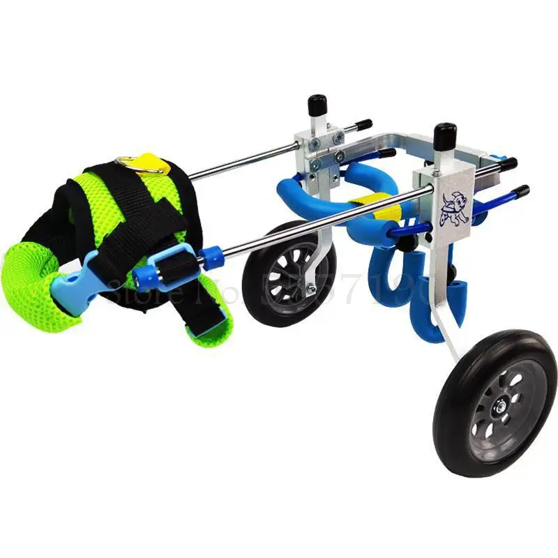 Инвалидная коляска для собак реабилитация и онемение больших при онемении