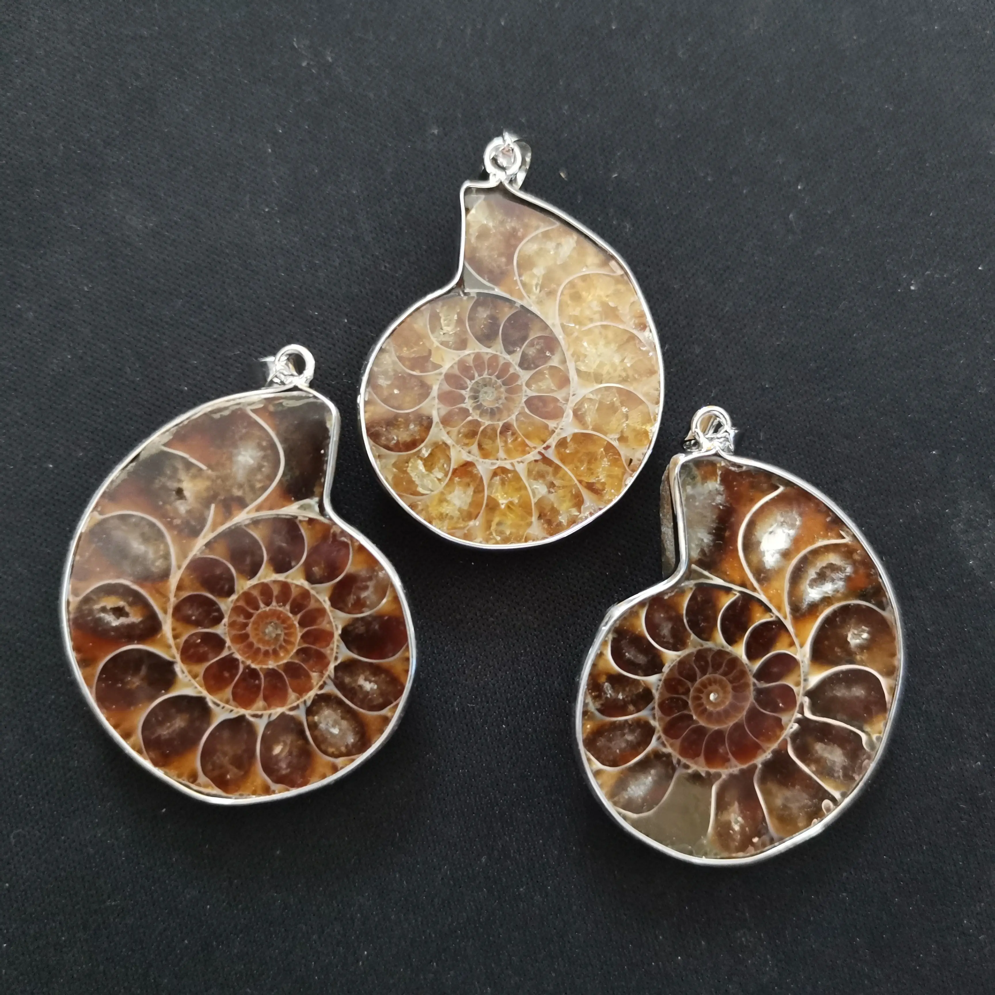 

100% Natural Stone Ammonite Fossils Seashell Snail Pendants Ocean Reliquiae Conch Animal Necklaces Statement Men Jewellery Gift