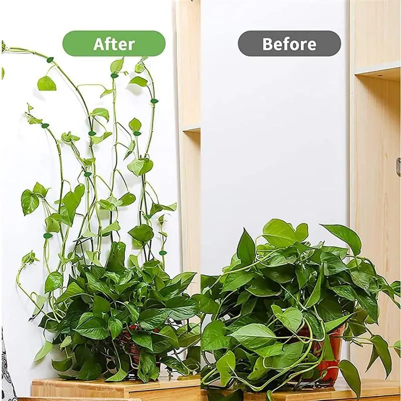 

10pcs Plant Climbing Wall Fixture Clips Invisible Wall Vines Fixing Clips Self-adhesive Vine Plant Climbing Wall Fixer