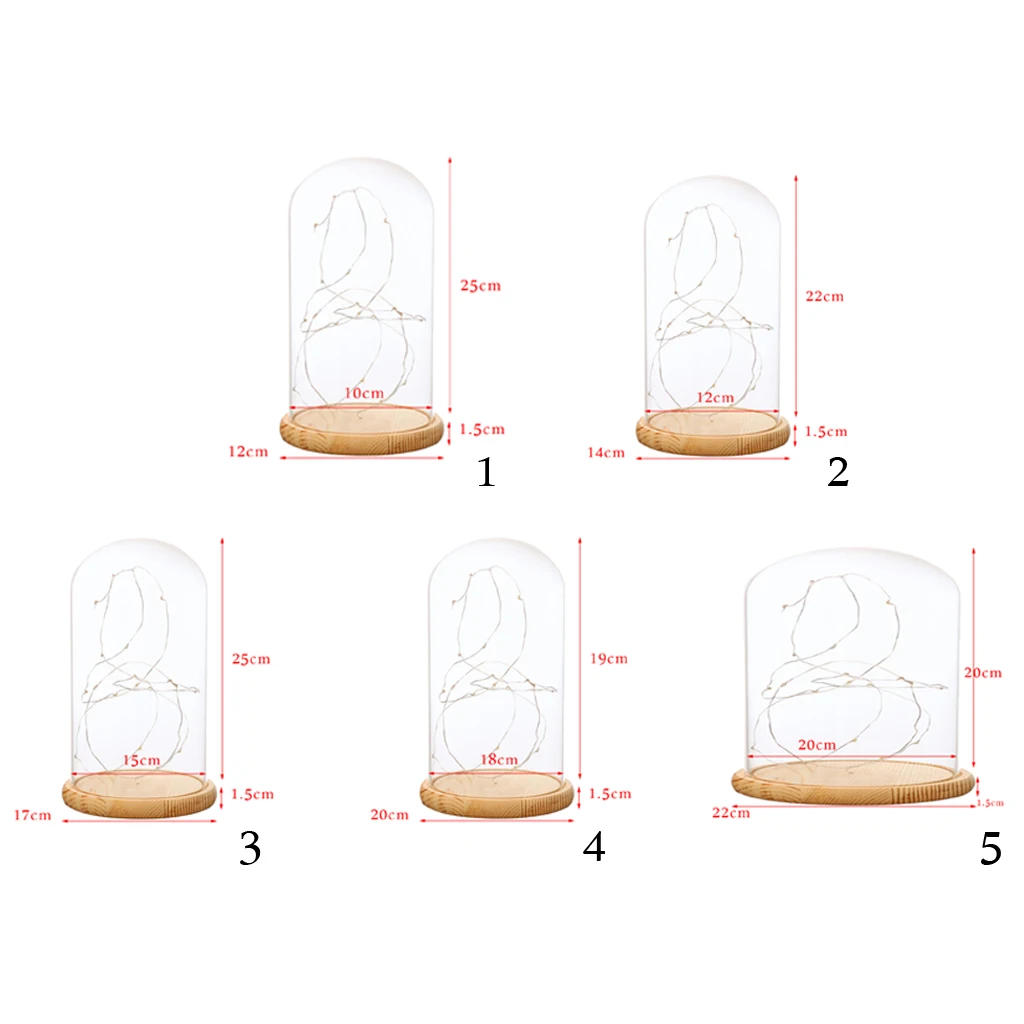 

Glass Display Dome Cover Wooden Base LED Light Bedside Table Lamp
