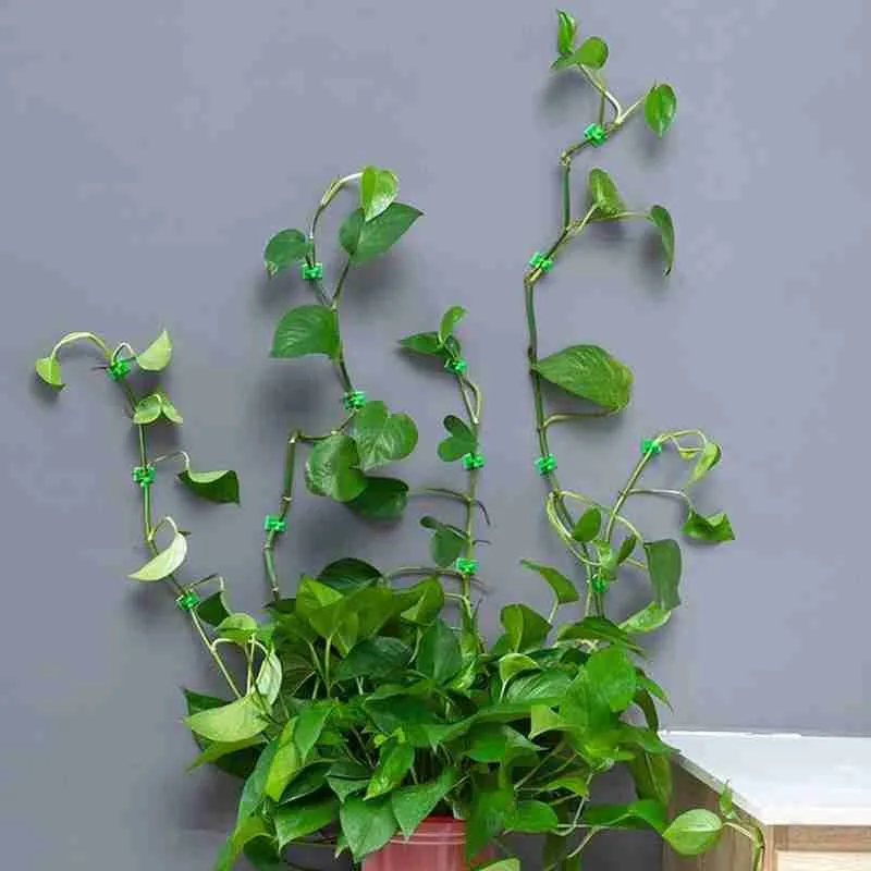 20 штук Зеленый Невидимый ротанга зажим растение Поддержка настенный фиксатора