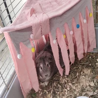 hamster rabbit hidden in the house beds and houses hiding tent cage rabbit guinea pig small animal little pet house pets tent