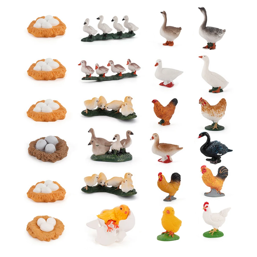 

Simulation Poultry Growth Cycle Chichen,Goose,Duck Life Circle Domestic Bird Plastic Models Action Figures Educational Kids Toy