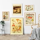 Винтажный обучающий ботанический постер с принтом грибов, иллюстрация, Настенная картина на холсте, картина для гостиной, домашний декор