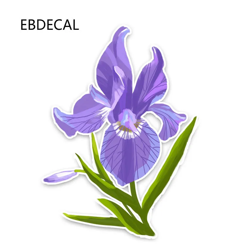 EBdecal E Ирисы цветы фиолетовая наклейка для Авто/бампер/окно/наклейка на стену