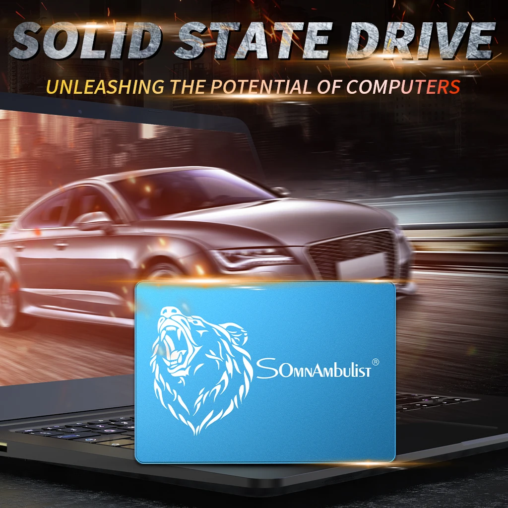 SOMNAMBULIST металлический grizzly SSD Plus Внутренний твердотельный жесткий диск SATA III 2 5