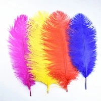 10pcslot ostrich feathers for crafts 20 22 50 55cm white ostrich feather decor wedding decorations feathers ostrich plumes diy