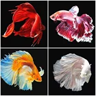 Алмазная вышивка Huacan, полноразмернаякруглая картина из страз с изображением рыб, вышивка крестиком, мозаика для домашнего декора, Прямая поставка