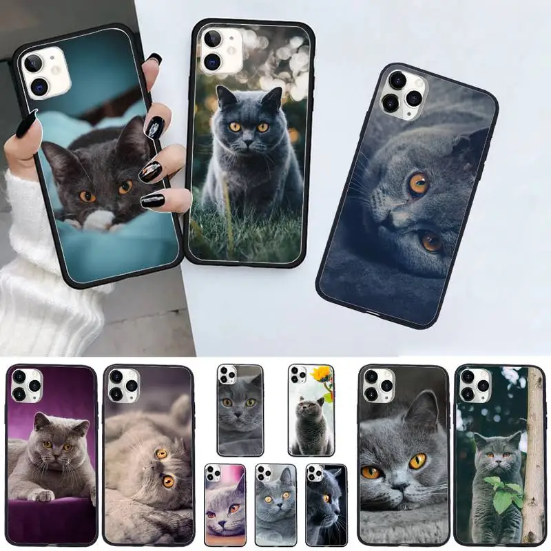 

Webbedepp British Shorthair cat cute Phone Case For iphone 12 11 13 7 8 6 s plus x xs xr pro max mini shell
