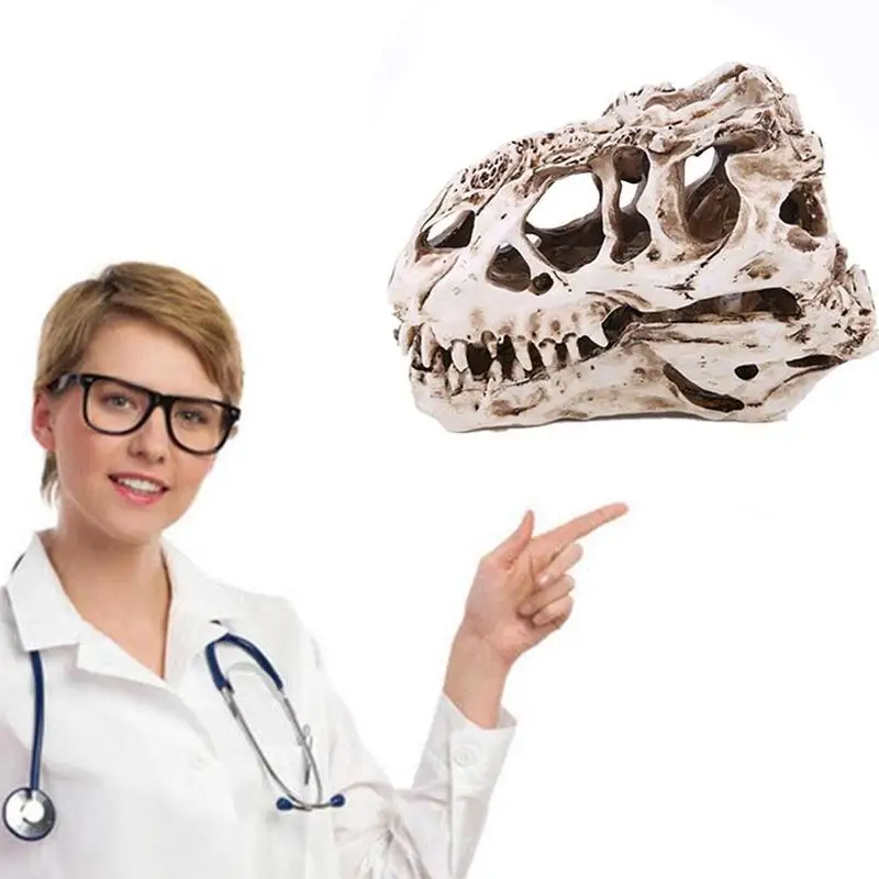 

Dinosaur Others Model Dinosaur Skull Movie Props Decor Skeleton Decoration Jurassic Dinosaur Simulation Resin Fossil Garden N9H8