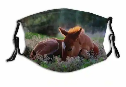 

Beautiful Foal Face Mask Breathable Horse Themed Face Coverings