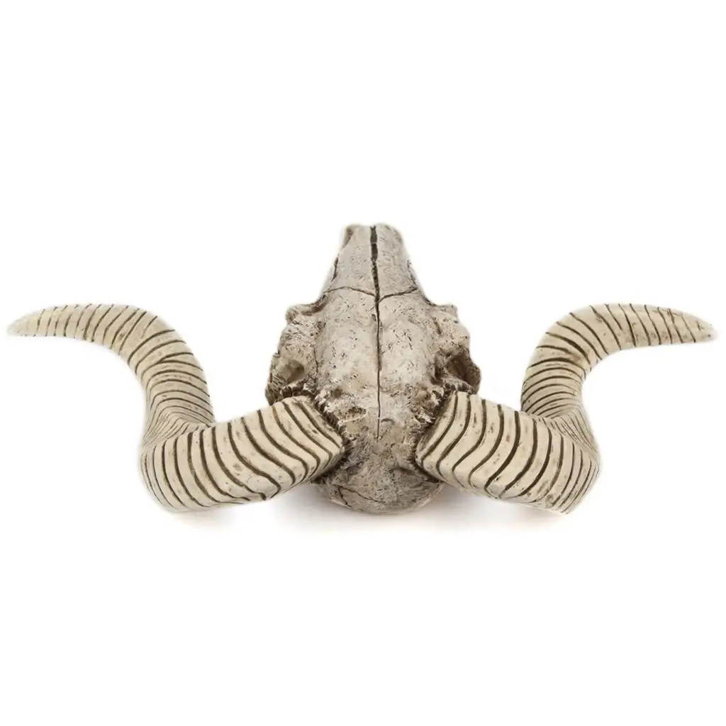 

Head Wall Hook Hanging Hat Scarf Clothes Bathroom Kitchen Towel Holder Hanger Rack Wall Wedding Gift Skull Sheep's Head Head