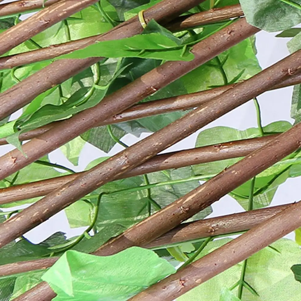 Садовый ограждение из зеленой виноградной лозы экран для живой изгороди