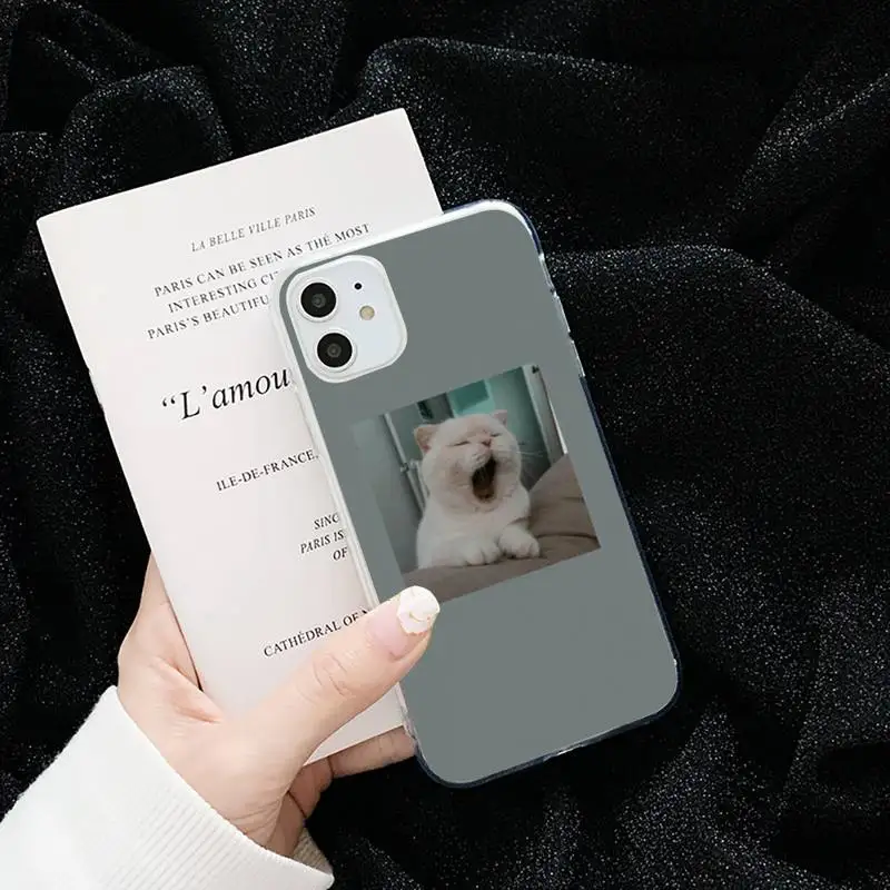 

Cute Animal Cat Dog Art funny Phone Case For iphone 12 11 pro Max Mini 7 8 plus X XR XS Samsung S10 9 4 5 6 7 8 Plus